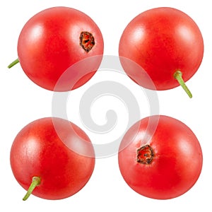 Red currant collection. berries isolated on white.