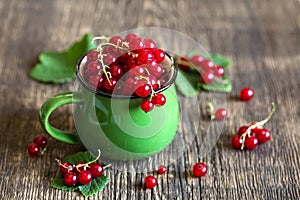 Red currant