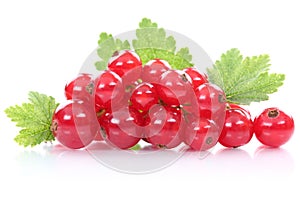 Red currant currants berries fresh fruits fruit isolated on whit