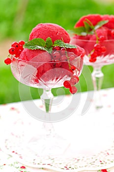 Red currant dessert wine sorbet, copy space for your text