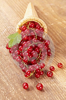 Red currant fruits in ice cream cone on wood