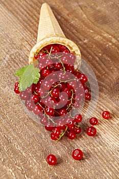 Red currant fruits in ice cream cone on wood