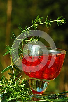 Red Currant in the Glass Of Wine