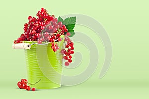 Red currant in a green cup on a green background. Horizontal. Background with copy space.