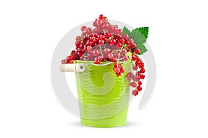 Red currant in a green cup on a white background. Horizontal. Background with copy space.