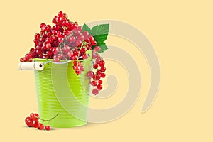 Red currant in a green cup on a yellow background. Horizontal. Background with copy space.