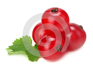 red currant with green leaf isolated on a white background. macro. healthy food