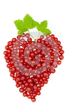 Red currant and green leaf - Ribes rubrum - heart