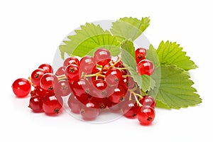 Red currant isolated on white background. Boost for immune system.