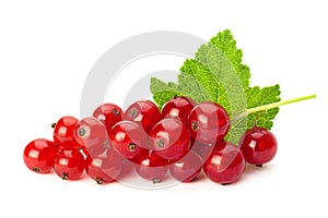 Red currant with leaf