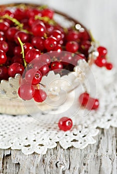 Red currant in the metallic basket