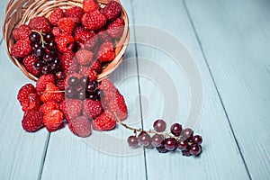 Red currant and raspberry in a basket on white wooden background