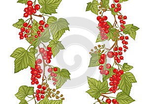 Red currant red, ripe berries. Seamless pattern, background.
