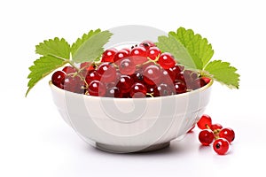 Red currant in white bowl. Boost for immune system.