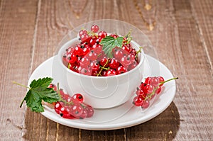 Red currant in a white coffee cup/red currant in a white coffee