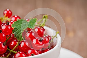 Red currant in a white coffee cup/red currant in a white coffee