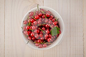 red currant in a white plate on a white background/red currant in a white plate on a white background. top view