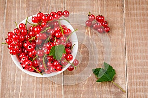 red currant in a white plate on a wooden background/red currant in a white plate on a wooden background. top view