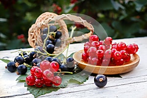 Red currant in a wooden plate and black currant in a basket on a table in the garden