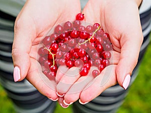 Red currants