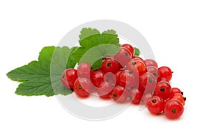 Red currants