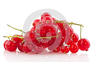 Red currants berries