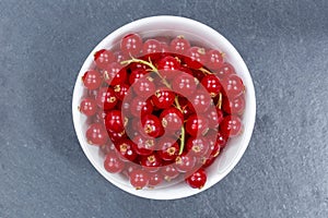 Red currants berries from above bowl slate