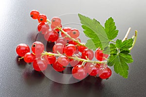 Red currants berries