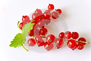 Red currants berries