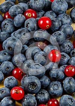 Red currants and blueberries