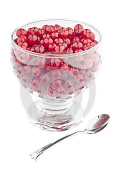 Red currants cup