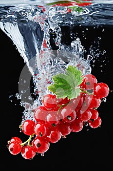 red currants fall into water, splash, Generated image