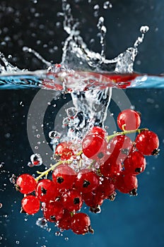 red currants fall into water, splash, Generated image