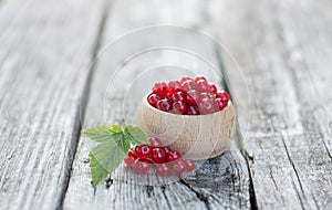 Red Currants