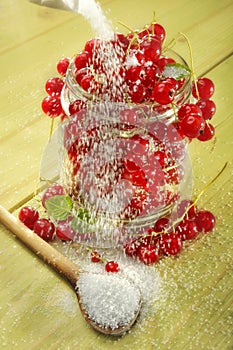 Red currants in jar for jam