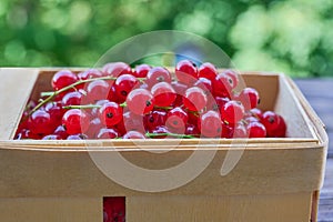 Red currants in wooden container