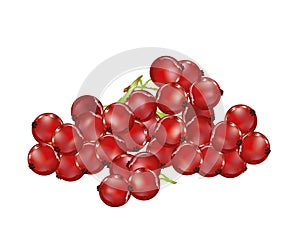 Red currents photo