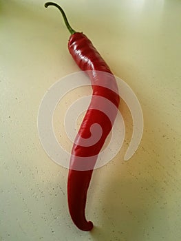 Red curved chilipepper