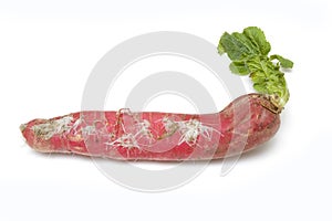 Red Daikon or Mooli photo