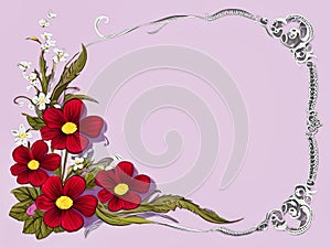 red daisy flowers on card