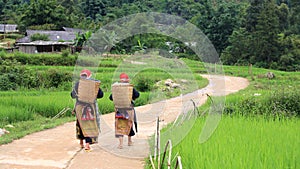 Red Dao Hilltribe women in Sapa