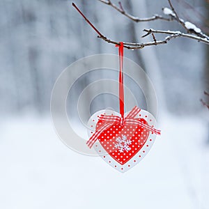 Red decor heart hanging on thee branch