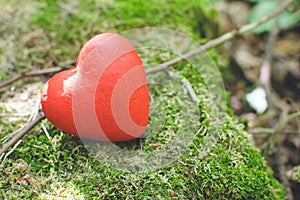 Red decorative heart in the forest. Love concept