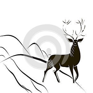 Red deer buck with large antlers stands on hill