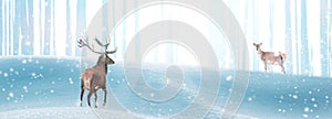 Red deer in a winter magic forest in the rays of light. Christmas fantastic banner. Free space for text. Winter wonderland.