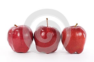 Red Delicious Apples photo