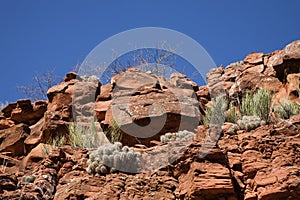 Red Desert Rock Wall under Blue Sky