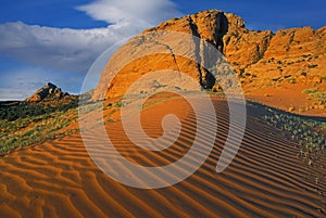 Red Desert Sands Page, Arizona