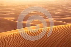 The red deset outside Dubai, with a dune in the foreground and a dunescape extending to the horizon in the background