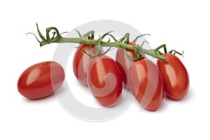 Red Desire, mini plum tomatoes on a twig on white background